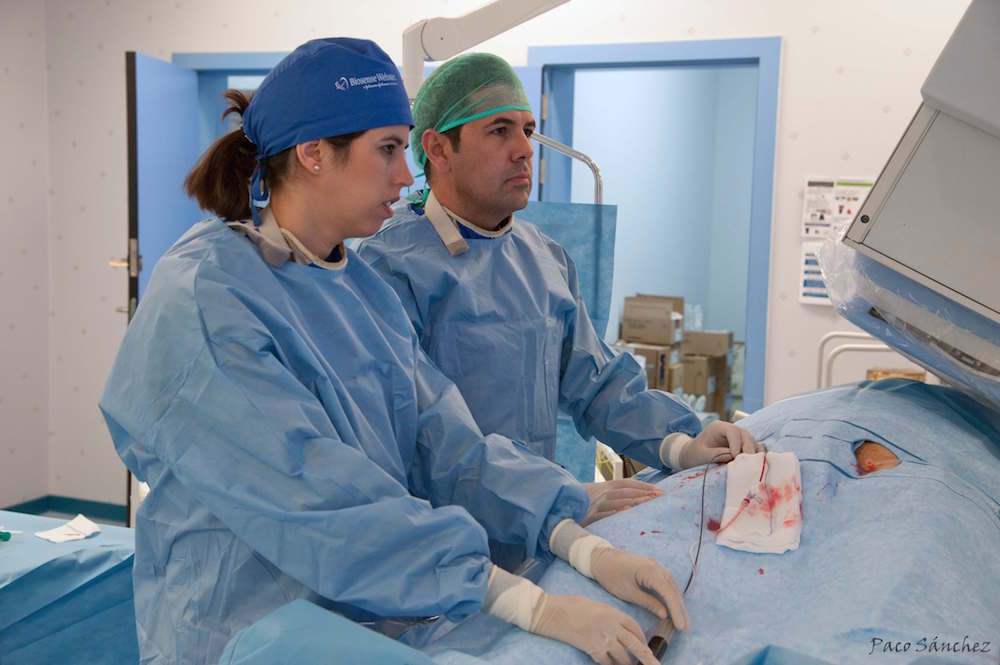 Cardiologos Arritmias en Sevilla - La ablación de la fibrilación auricular